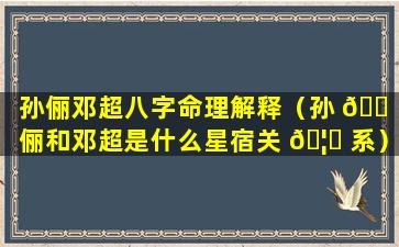 孙俪邓超八字命理解释（孙 🐠 俪和邓超是什么星宿关 🦆 系）